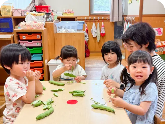 保育園の教室で、保育士に見守られながらテーブルの上でそら豆のさや剥き（食育活動）に挑戦する子どもたち