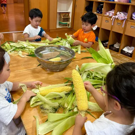 保育室のテーブルを囲み、みんなで並んでとうもろこしの皮むきをしている子どもたちの様子