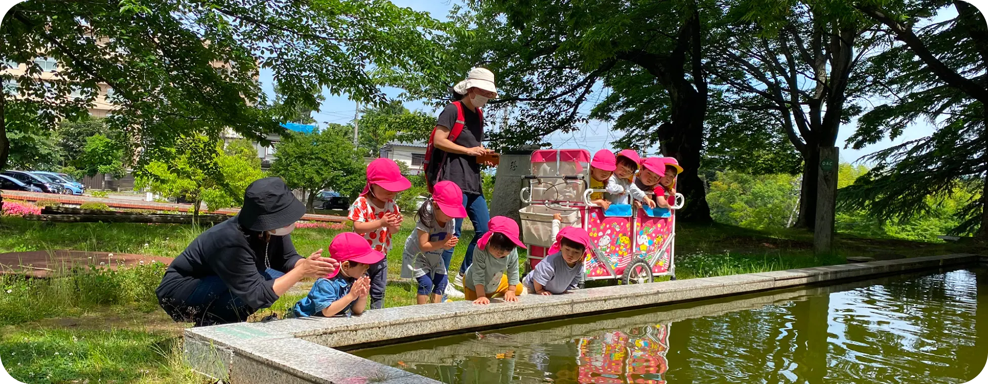 公園の池のほとりで、ピンク色の帽子をかぶった子どもたちと保育士が一緒に池の中を覗き込んで観察している散歩風景