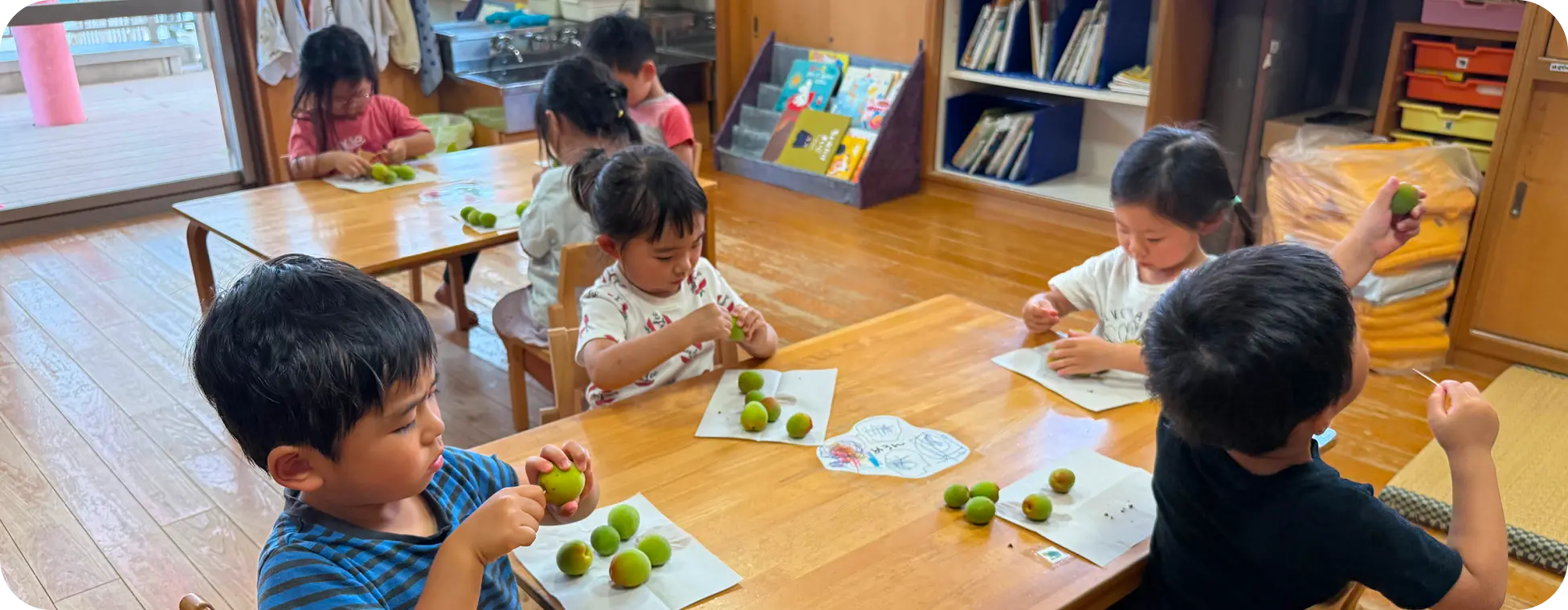 保育室の木製テーブルを囲み、つまようじを使って青梅のヘタ取り作業をする子どもたちの様子